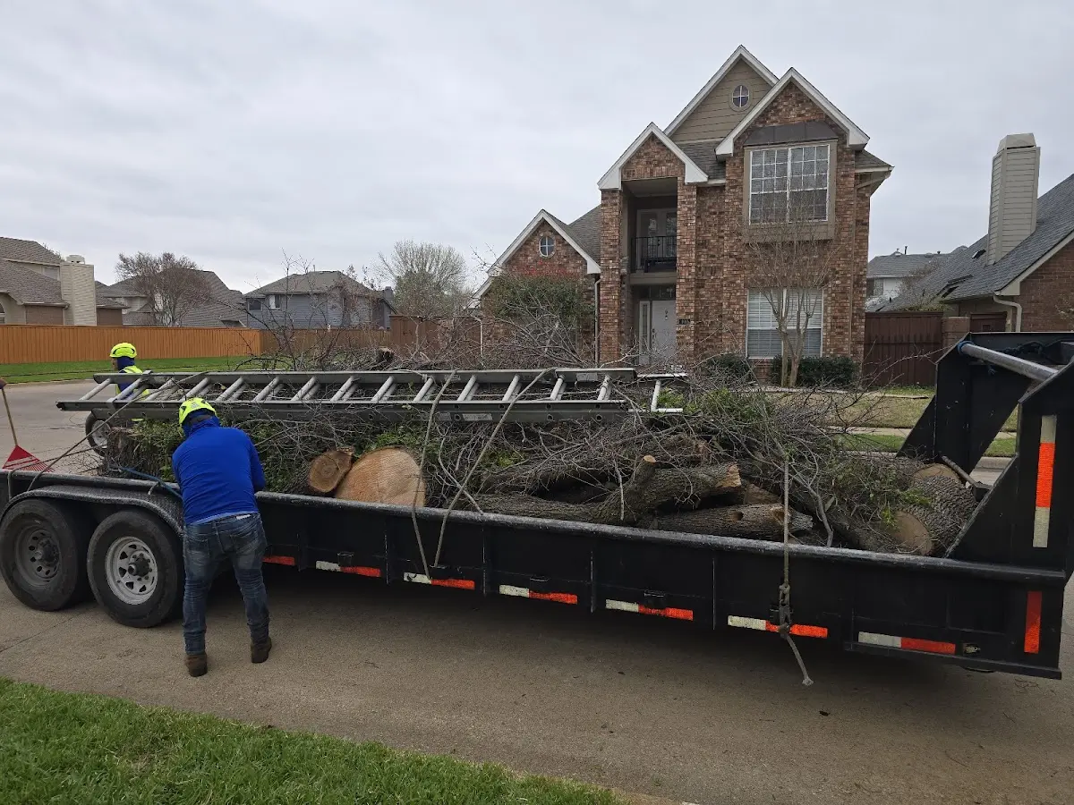 Expert Lot Clearing with proper safety equipment in Keymar